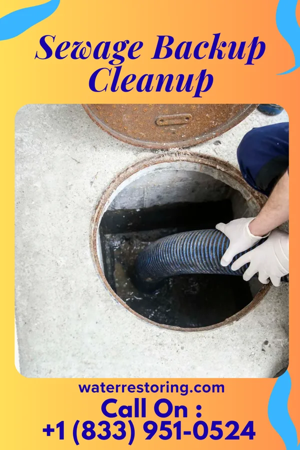 Sewage Backup Cleanup in Matlock, IA