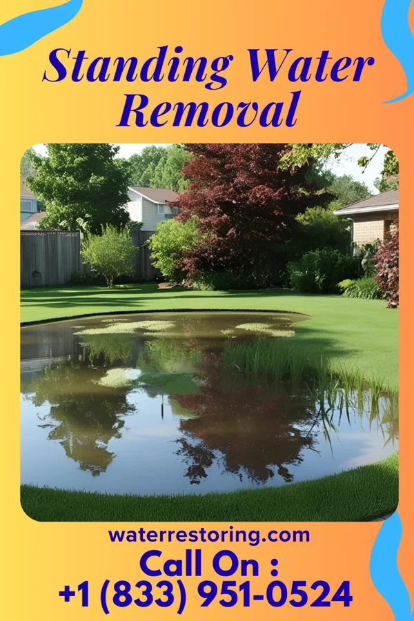 Standing Water Removal in Matlock, IA